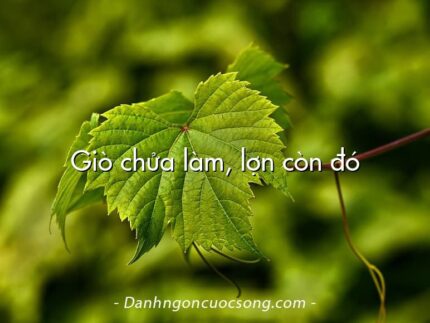 Giò chửa làm, lợn còn đó
