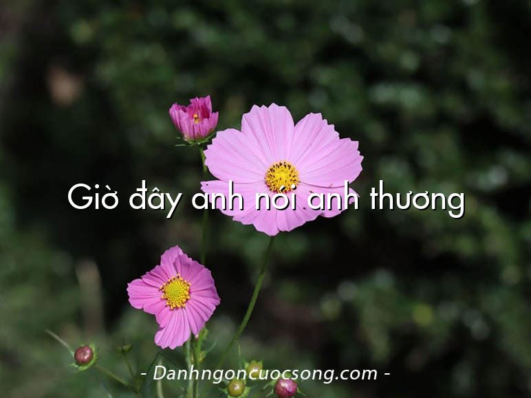 Giờ đây anh nói anh thương