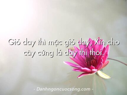 Gió day thì mặc gió day, Xin cho cây cứng lá dày thì thôi.