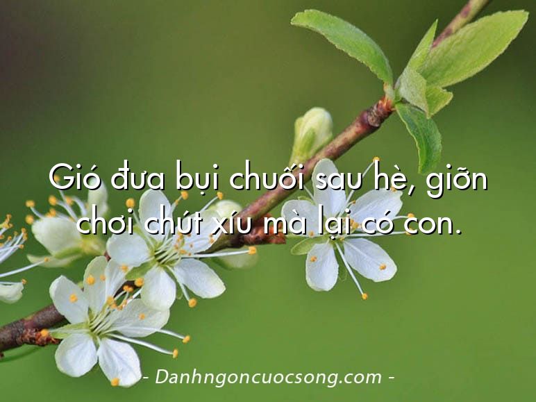 Gió đưa bụi chuối sau hè, giỡn chơi chút xíu mà lại có con.