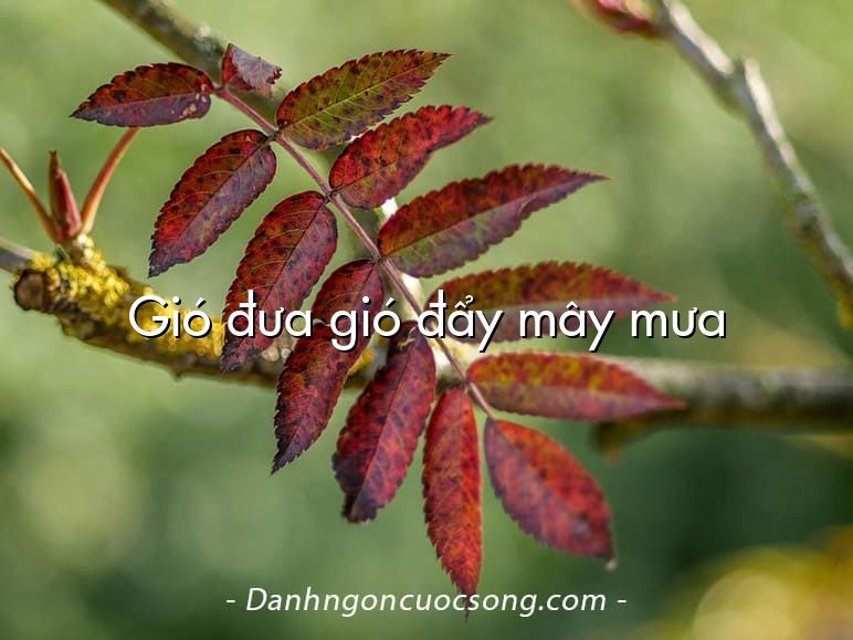 Gió đưa gió đẩy mây mưa