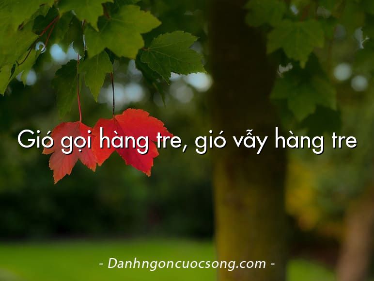 Gió gọi hàng tre, gió vẫy hàng tre
