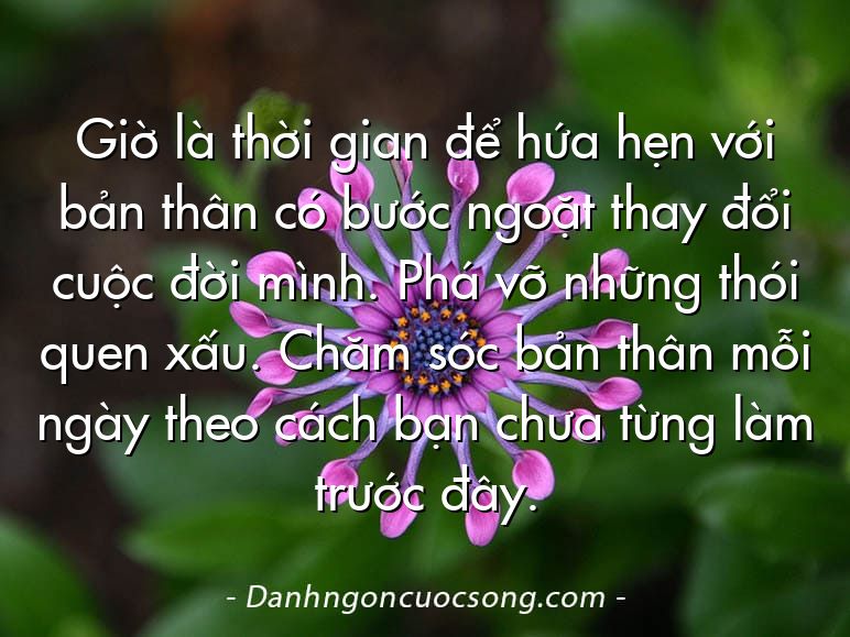 Giờ là thời gian để hứa hẹn với bản thân có bước ngoặt thay đổi cuộc đời mình. Phá vỡ những thói quen xấu. Chăm sóc bản thân mỗi ngày theo cách bạn chưa từng làm trước đây.