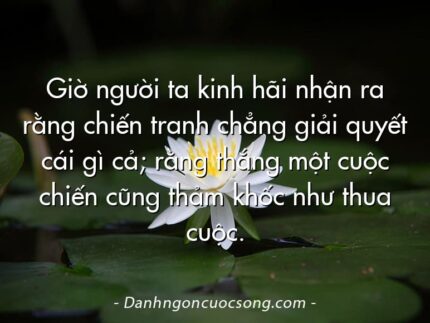 Giờ người ta kinh hãi nhận ra rằng chiến tranh chẳng giải quyết cái gì cả; rằng thắng một cuộc chiến cũng thảm khốc như thua cuộc.