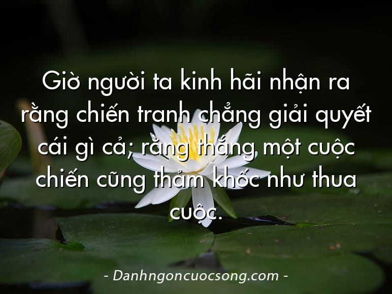 Giờ người ta kinh hãi nhận ra rằng chiến tranh chẳng giải quyết cái gì cả; rằng thắng một cuộc chiến cũng thảm khốc như thua cuộc.
