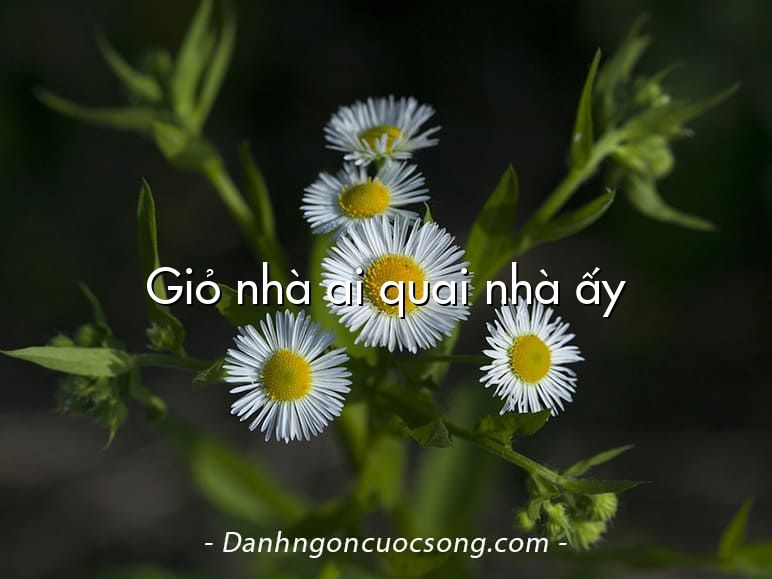 Giỏ nhà ai quai nhà ấy