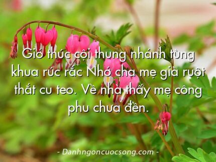 Gió thúc cội thung nhánh tùng khua rúc rắc Nhớ cha mẹ già ruột thắt cu teo. Về nhà thấy mẹ công phu chưa đền.