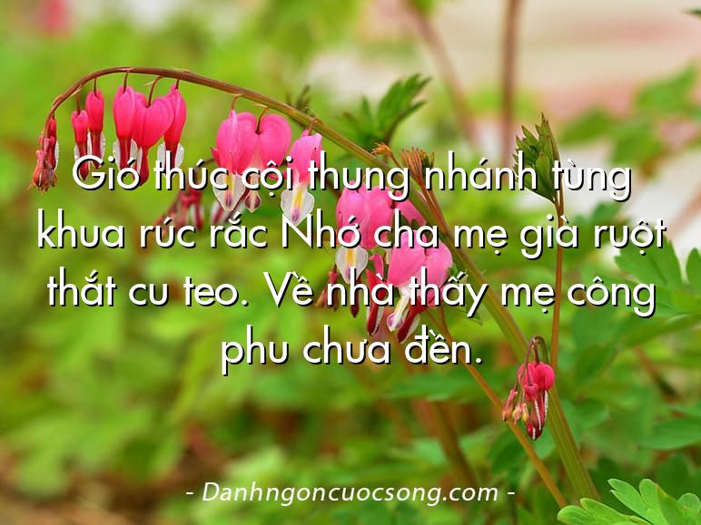 Gió thúc cội thung nhánh tùng khua rúc rắc Nhớ cha mẹ già ruột thắt cu teo. Về nhà thấy mẹ công phu chưa đền.