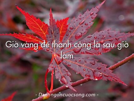 Giờ vàng để thành công là sau giờ làm