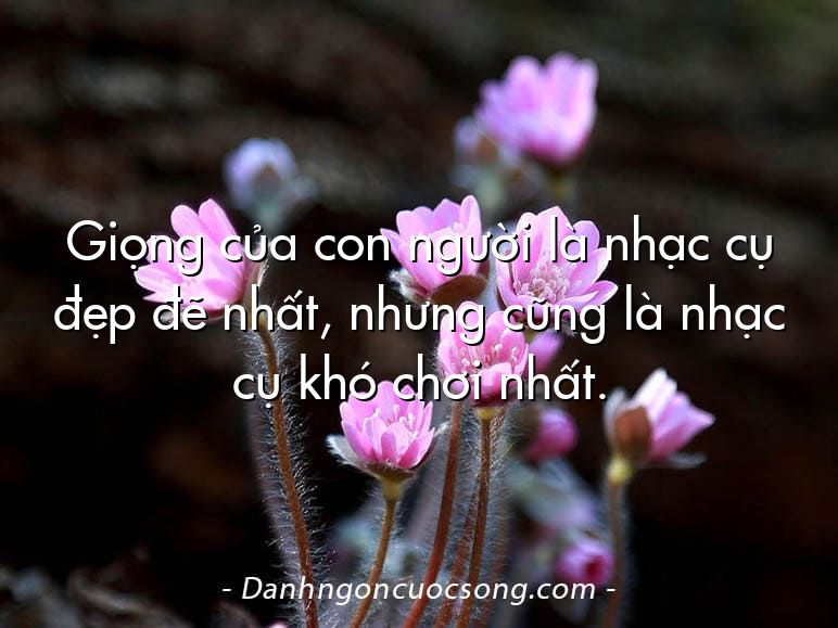 Giọng của con người là nhạc cụ đẹp đẽ nhất, nhưng cũng là nhạc cụ khó chơi nhất.