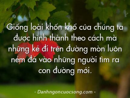 Giống loài khốn khổ của chúng ta được hình thành theo cách mà những kẻ đi trên đường mòn luôn ném đá vào những người tìm ra con đường mới.
