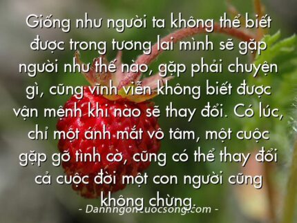 Giống như người ta không thể biết được trong tương lai mình sẽ gặp người như thế nào, gặp phải chuyện gì, cũng vĩnh viễn không biết được vận mệnh khi nào sẽ thay đổi. Có lúc, chỉ một ánh mắt vô tâm, một cuộc gặp gỡ tình cờ, cũng có thể thay đổi cả cuộc đời một con người cũng không chừng.