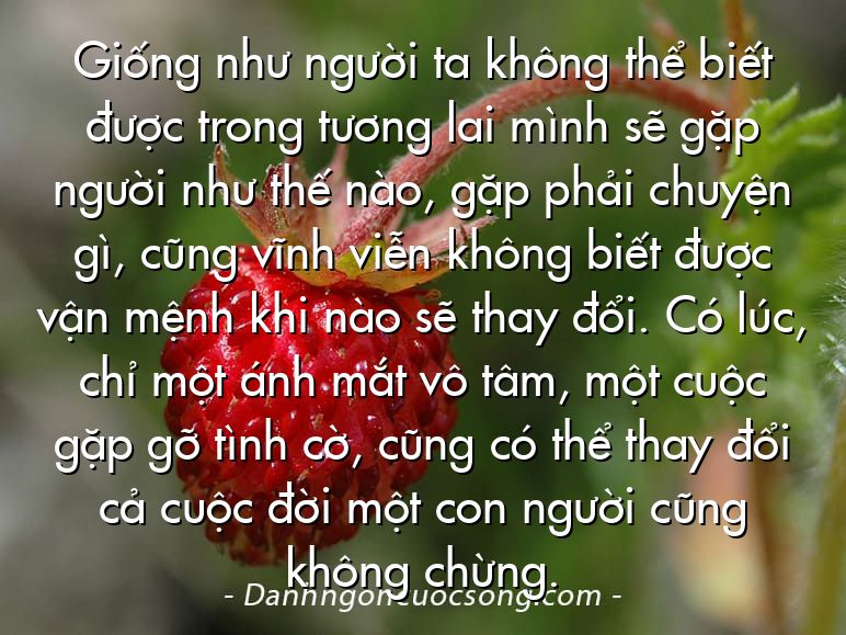 Giống như người ta không thể biết được trong tương lai mình sẽ gặp người như thế nào, gặp phải chuyện gì, cũng vĩnh viễn không biết được vận mệnh khi nào sẽ thay đổi. Có lúc, chỉ một ánh mắt vô tâm, một cuộc gặp gỡ tình cờ, cũng có thể thay đổi cả cuộc đời một con người cũng không chừng.