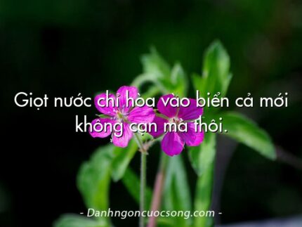 Giọt nước chỉ hòa vào biển cả mới không cạn mà thôi.