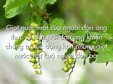 Giọt nước mắt của người đàn ông thực sự là người đàn ông khiến chúng ta xúc động hơn những giọt nước mắt cuả người đàn bà.