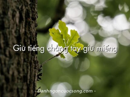 Giữ tiếng chẳng tày giữ miếng