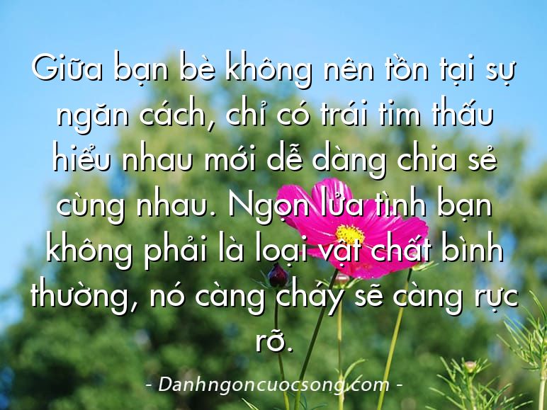 Giữa bạn bè không nên tồn tại sự ngăn cách, chỉ có trái tim thấu hiểu nhau mới dễ dàng chia sẻ cùng nhau. Ngọn lửa tình bạn không phải là loại vật chất bình thường, nó càng cháy sẽ càng rực rỡ.