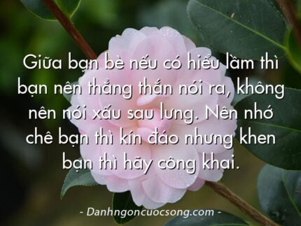 Giữa bạn bè nếu có hiểu lầm thì bạn nên thẳng thắn nói ra, không nên nói xấu sau lưng. Nên nhớ chê bạn thì kín đáo nhưng khen bạn thì hãy công khai.