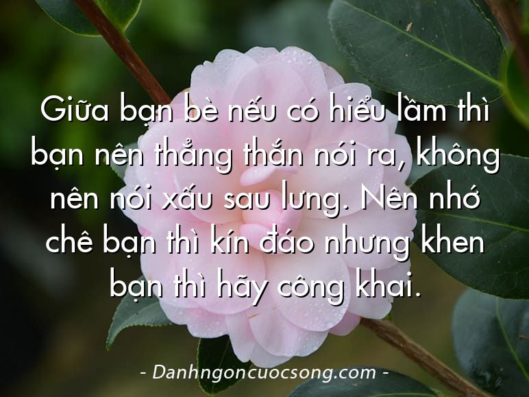 Giữa bạn bè nếu có hiểu lầm thì bạn nên thẳng thắn nói ra, không nên nói xấu sau lưng. Nên nhớ chê bạn thì kín đáo nhưng khen bạn thì hãy công khai.