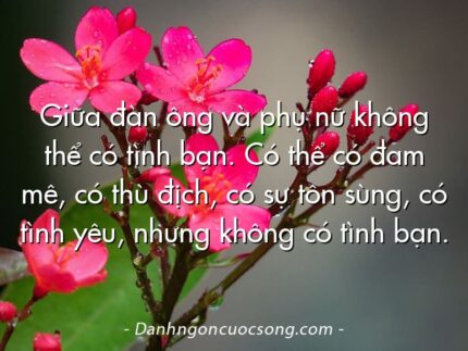 Giữa đàn ông và phụ nữ không thể có tình bạn. Có thể có đam mê, có thù địch, có sự tôn sùng, có tình yêu, nhưng không có tình bạn.