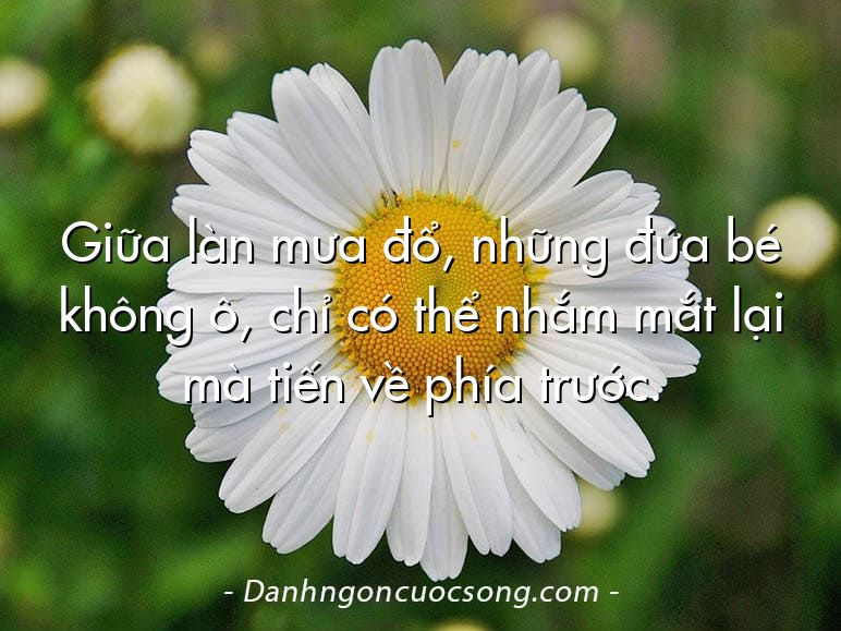 Giữa làn mưa đổ, những đứa bé không ô, chỉ có thể nhắm mắt lại mà tiến về phía trước.