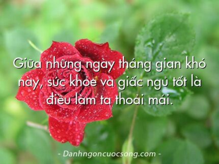 Giữa những ngày tháng gian khó này, sức khỏe và giấc ngủ tốt là điều làm ta thoải mái.