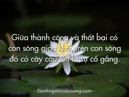 Giữa thành công và thất bại có con sông gian khổ, trên con sông đó có cây cầu tên là sự cố gắng.
