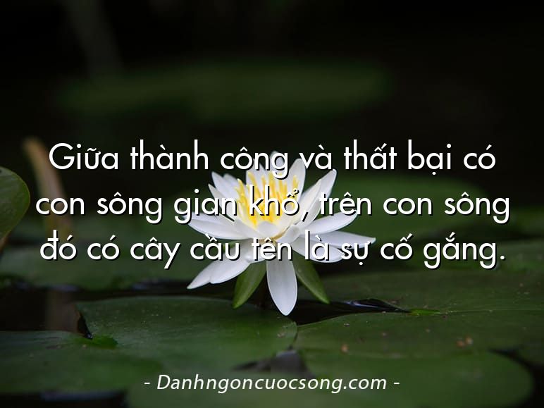 Giữa thành công và thất bại có con sông gian khổ, trên con sông đó có cây cầu tên là sự cố gắng.