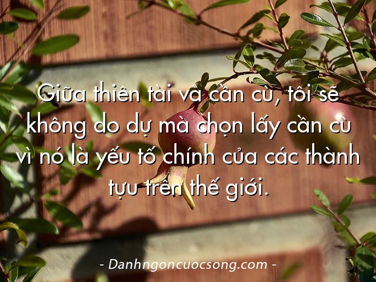 Giữa thiên tài và cần cù, tôi sẽ không do dự mà chọn lấy cần cù vì nó là yếu tố chính của các thành tựu trên thế giới.
