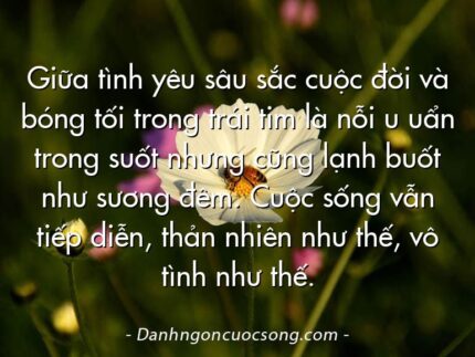 Giữa tình yêu sâu sắc cuộc đời và bóng tối trong trái tim là nỗi u uẩn trong suốt nhưng cũng lạnh buốt như sương đêm. Cuộc sống vẫn tiếp diễn, thản nhiên như thế, vô tình như thế.