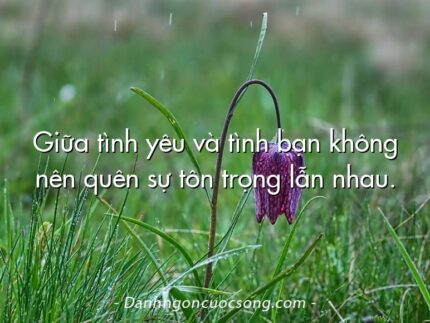 Giữa tình yêu và tình bạn không nên quên sự tôn trọng lẫn nhau.