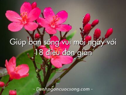 Giúp bạn sống vui mỗi ngày với 18 điều đơn giản