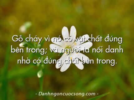 Gỗ cháy vì nó có vật chất đúng bên trong; và người ta nổi danh nhờ có đúng chất bên trong.