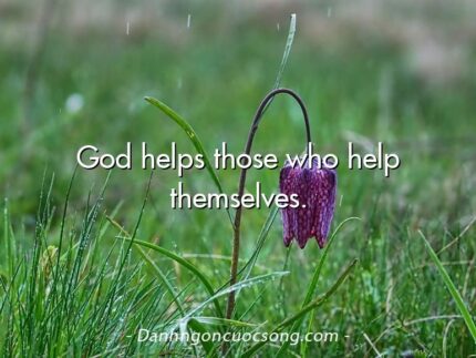 God helps those who help themselves.