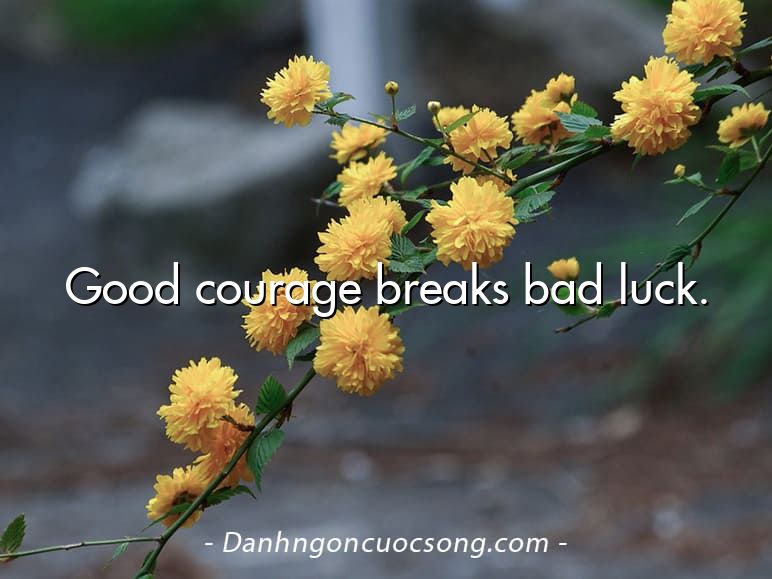 Good courage breaks bad luck.