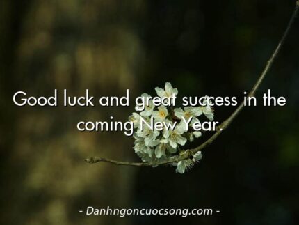 Good luck and great success in the coming New Year.