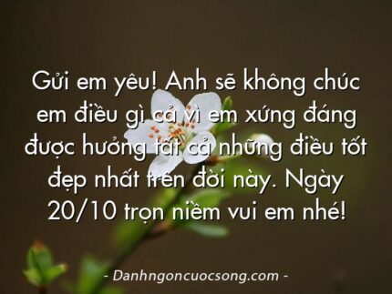 Gửi em yêu! Anh sẽ không chúc em điều gì cả vì em xứng đáng được hưởng tất cả những điều tốt đẹp nhất trên đời này. Ngày 20/10 trọn niềm vui em nhé!