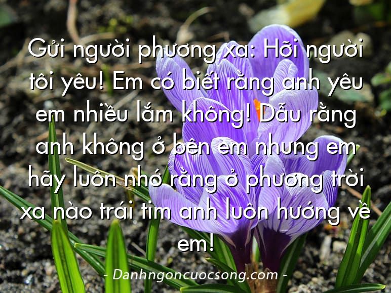 Gửi người phương xa: Hỡi người tôi yêu! Em có biết rằng anh yêu em nhiều lắm không! Dẫu rằng anh không ở bên em nhưng em hãy luôn nhớ rằng ở phương trời xa nào trái tim anh luôn hướng về em!