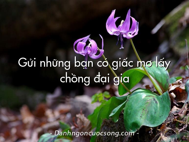 Gửi những bạn có giấc mơ lấy chồng đại gia