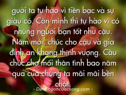 gười ta tự hào vì tiền bạc và sự giàu có. Còn mình thì tự hào vì có những người bạn tốt như cậu. Năm mới, chúc cho cậu và gia đình an khang thịnh vượng. Cầu chúc cho mối thân tình bao năm qua của chúng ta mãi mãi bền chặt.