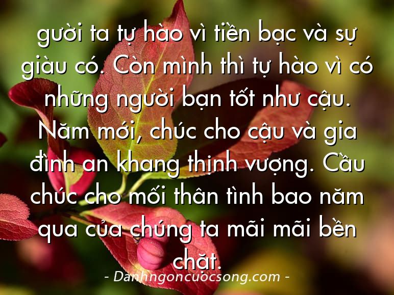 gười ta tự hào vì tiền bạc và sự giàu có. Còn mình thì tự hào vì có những người bạn tốt như cậu. Năm mới, chúc cho cậu và gia đình an khang thịnh vượng. Cầu chúc cho mối thân tình bao năm qua của chúng ta mãi mãi bền chặt.