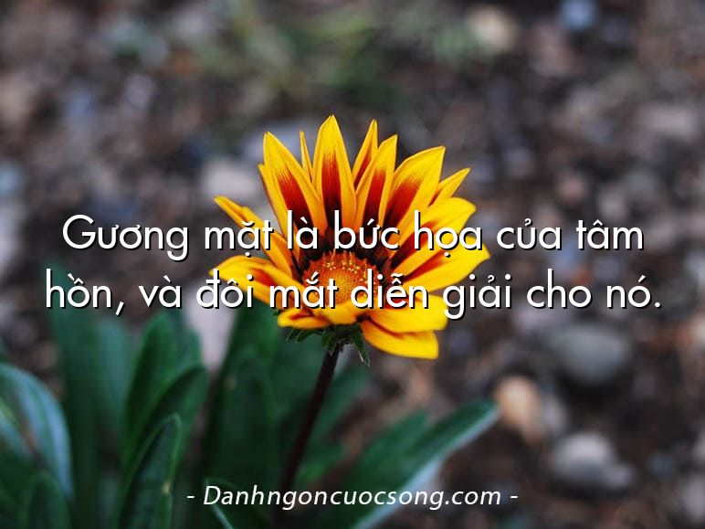 Gương mặt là bức họa của tâm hồn, và đôi mắt diễn giải cho nó.