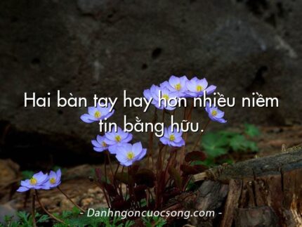 Hai bàn tay hay hơn nhiều niềm tin bằng hữu.
