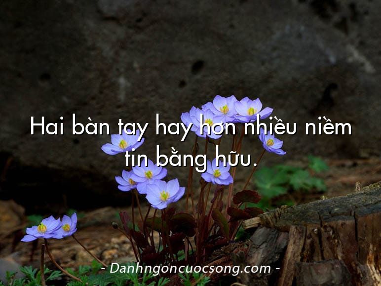 Hai bàn tay hay hơn nhiều niềm tin bằng hữu.