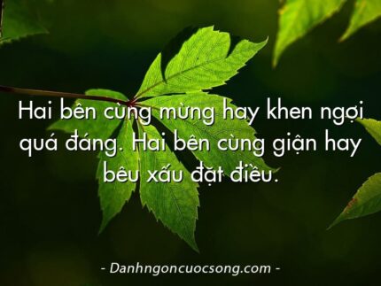 Hai bên cùng mừng hay khen ngợi quá đáng. Hai bên cùng giận hay bêu xấu đặt điều.