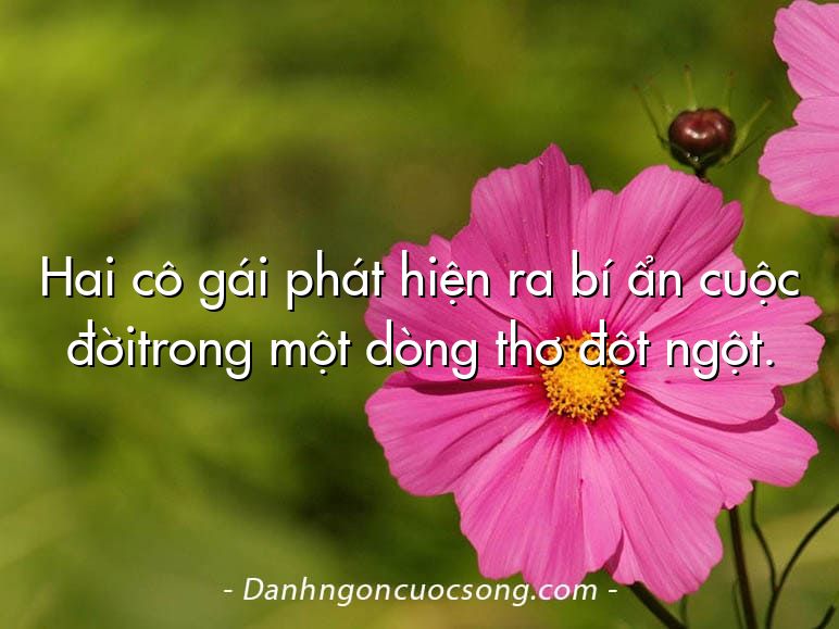 Hai cô gái phát hiện ra bí ẩn cuộc đờitrong một dòng thơ đột ngột.