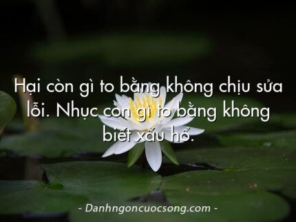 Hại còn gì to bằng không chịu sửa lỗi. Nhục còn gì to bằng không biết xấu hổ.