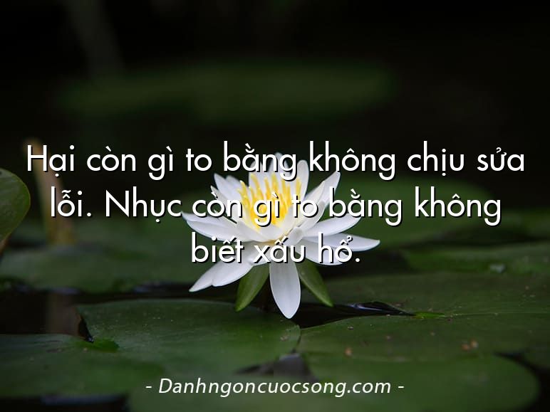 Hại còn gì to bằng không chịu sửa lỗi. Nhục còn gì to bằng không biết xấu hổ.