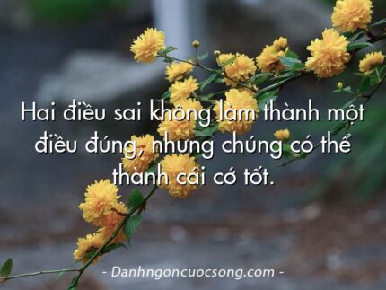 Hai điều sai không làm thành một điều đúng, nhưng chúng có thể thành cái cớ tốt.