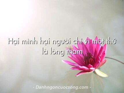 Hại mình hại người chỉ vì một thứ là lòng tham